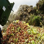 Переработка пищевых отходов